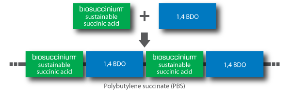 PBS creating with 1,4 BDO and Biosuccinium